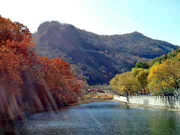 澳门二四六天天彩图库，李东学 台湾